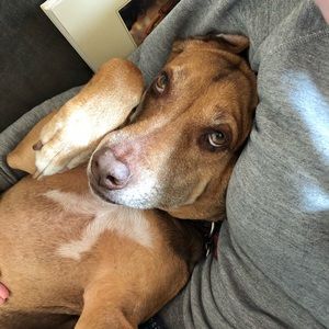 Meet your Posher, Austin